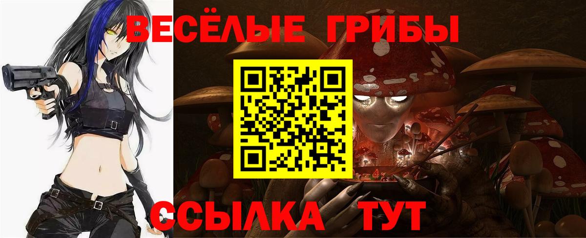 Щёлково  Псилоцибиновые грибы Psilocybe  Вход с VPN 