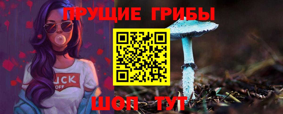 Псилоцибиновые грибы мухоморы Щёлково